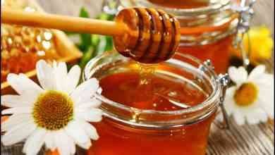 فوائد العسل الأبيض