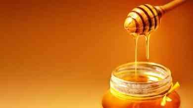 فوائد العسل الطبيعى على الريق