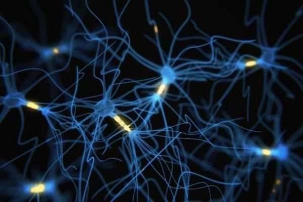 معلومات غريبة عن الخلايا العصبية