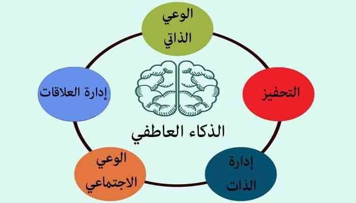 انواع الذكاء العاطفي تعرف على الذكاء العاطفى 9313