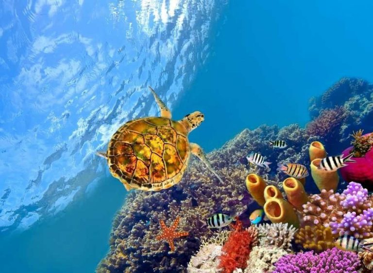 الموسم السياحي في السودان