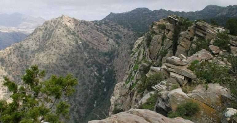 Wadi Turabah Nature Reserve - الطبيعة في السعودية