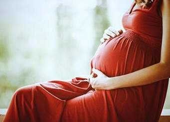 استخدامات الجنسنج في الحمل 