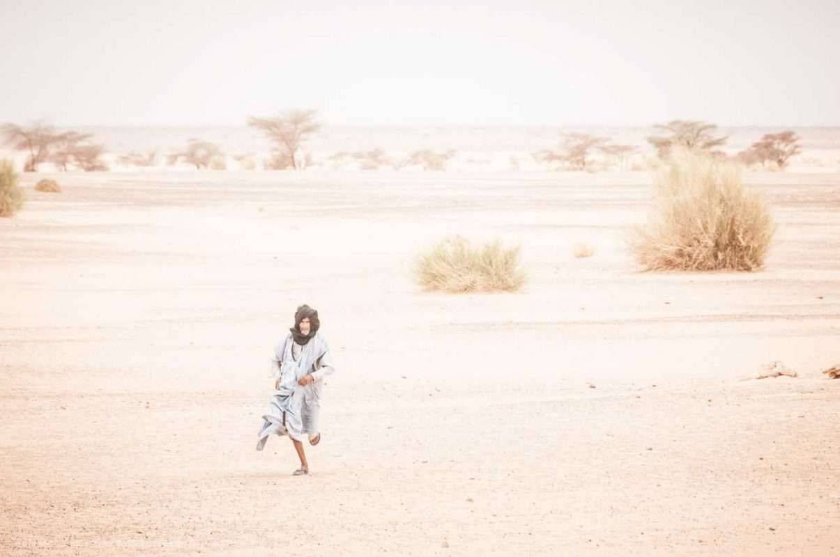 الطبيعة في موريتانيا