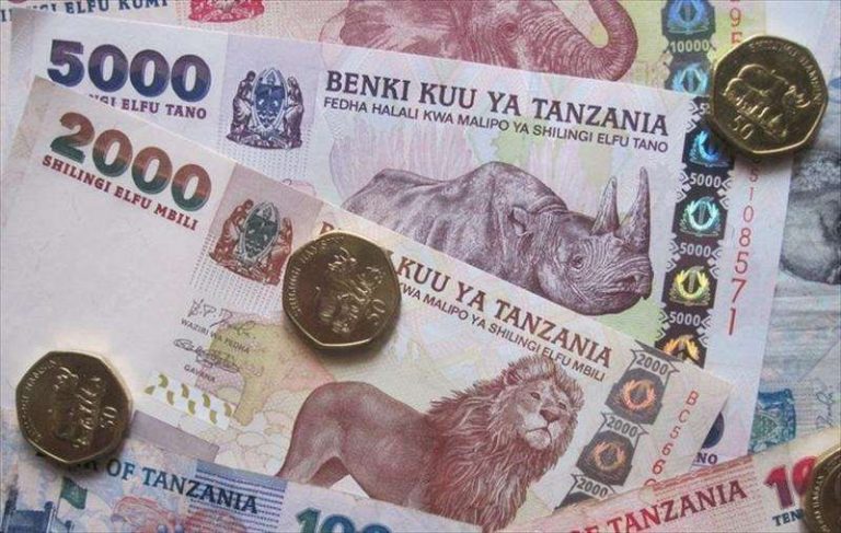 العملة الرسمية في دولة تنزانيا