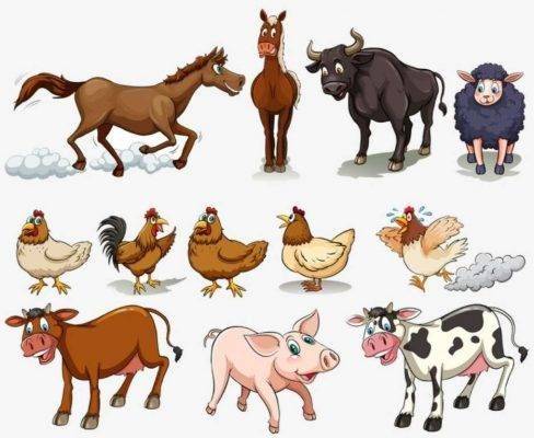 حيوانات المزرعة - معلومات للأطفال عن الحيوانات