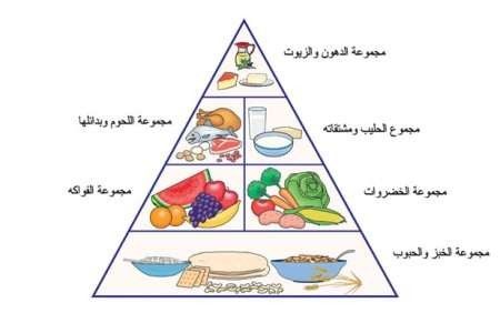 الهرم الغذائي