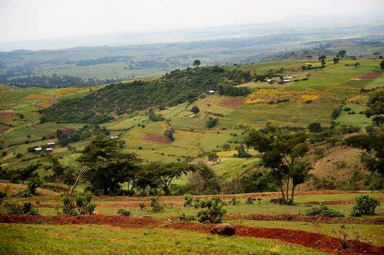 الحياة الريفية في أثيوبيا
