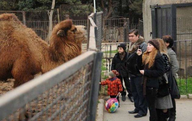 تغيير مكان حديقة الحيوانات في باكو