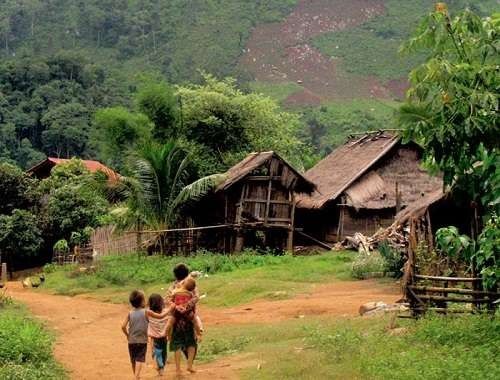 اللغة والثقافة - الحياة الريفية في فيتنام