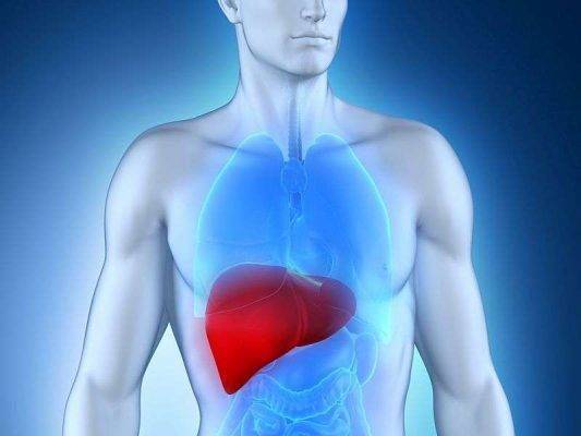 ما هو مرض تليف الكبد