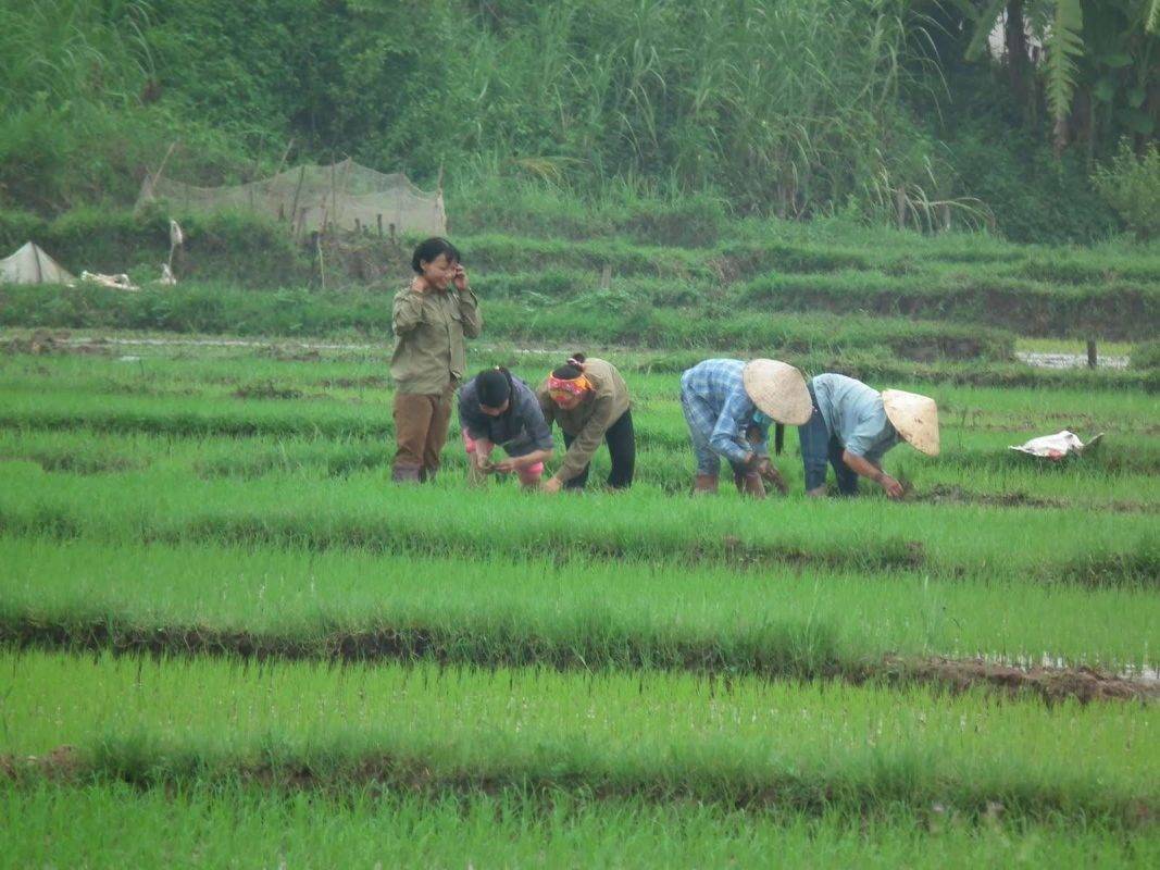 البنية تحتية - الحياة الريفية في فيتنام