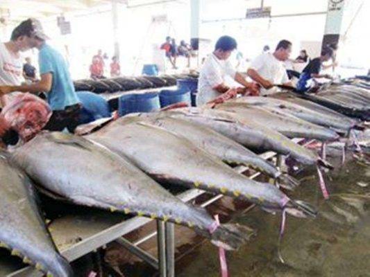 التونة - أشهر منتجات الفلبين