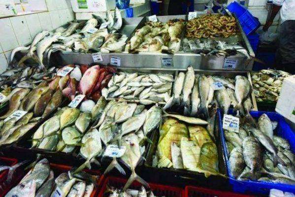 الثروة السمكية - أشهر منتجات قطر