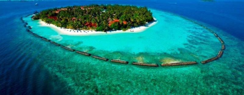 المنتجات الزراعية - أشهر منتجات جزر المالديف