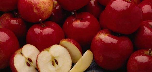 فوائد شجرة التفاح - معلومات عن شجرة التفاح