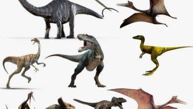 معلومات للأطفال عن الديناصورات