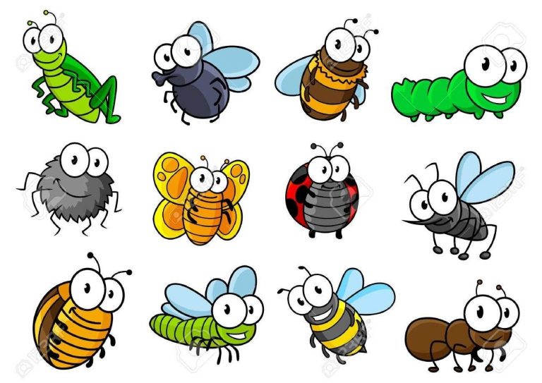معلومات للاطفال عن الحشرات