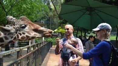 حديقة الحيوان في كوانزو