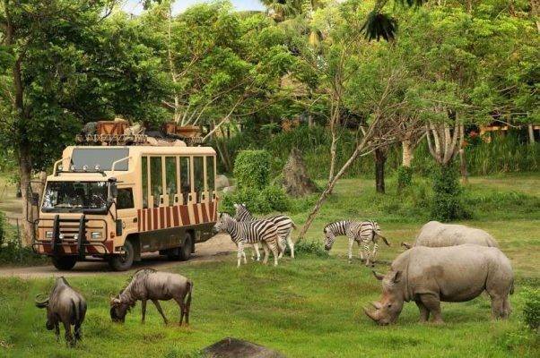 أقسام حديقة الحيوان في بالي