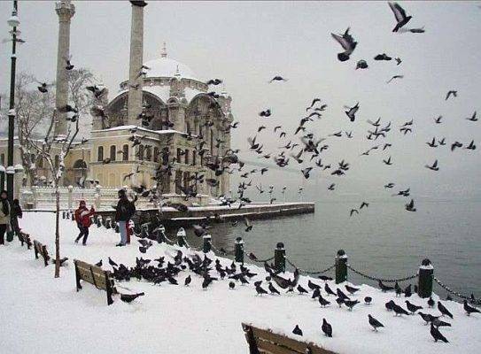 الشتاء في تركيا