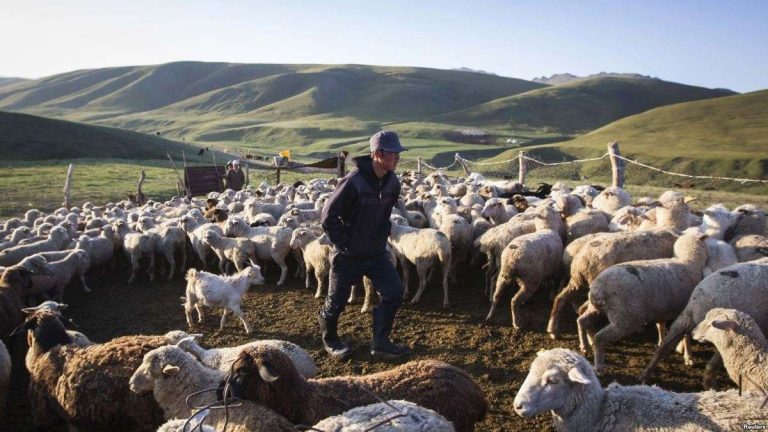 معلومات عن الحياة الريفية بكازاخستان