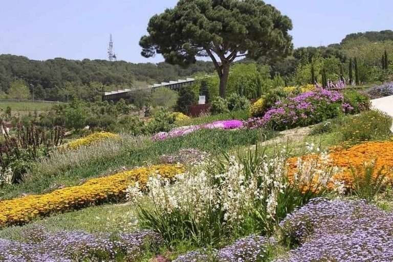 ساعات عمل حديقة نباتات برشلونة - حديقة نباتات برشلونة