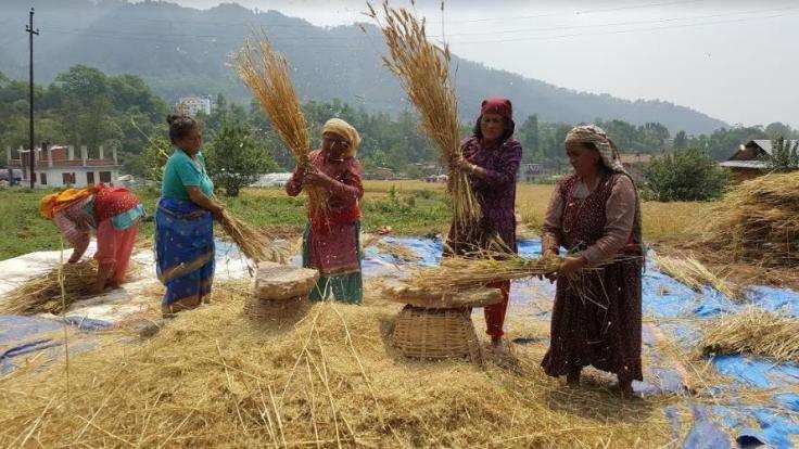 الحياة الريفية في نيبال