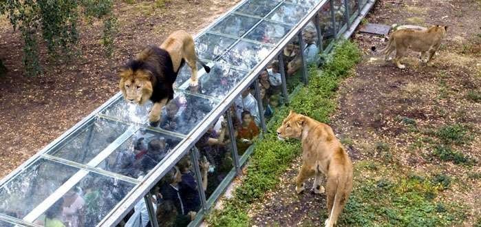 حديقة الحيوان في باريس