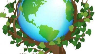 أفكار لليوم العالمي للبيئة