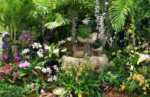 حديقة الأوركيد - حديقة الزهور في كوالالمبور