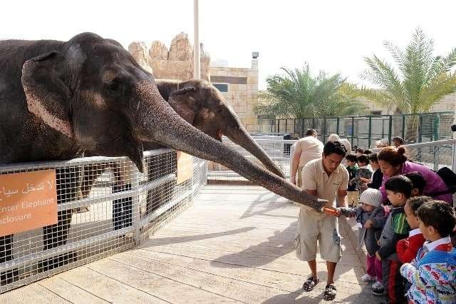 أفسام حديقة الإمارات للحيوانات في أبو ظبي