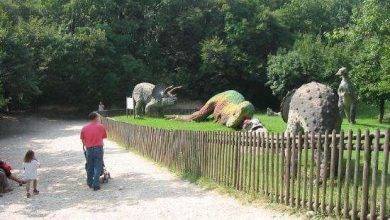 حديقة الحيوان في روما