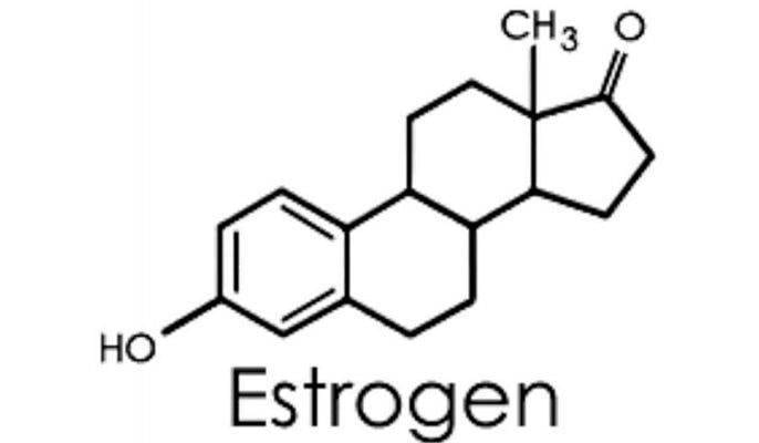 تعريف هرمون الاستروجين