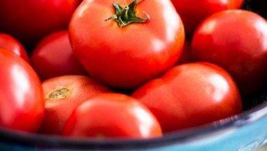 طريقة حفظ الطماطم في الثلاجة