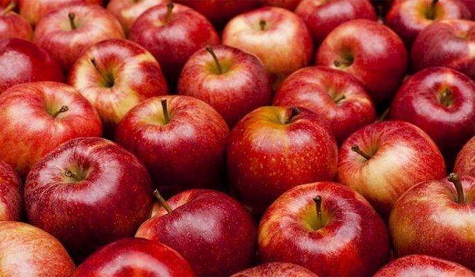 طريقة حفظ التفاح