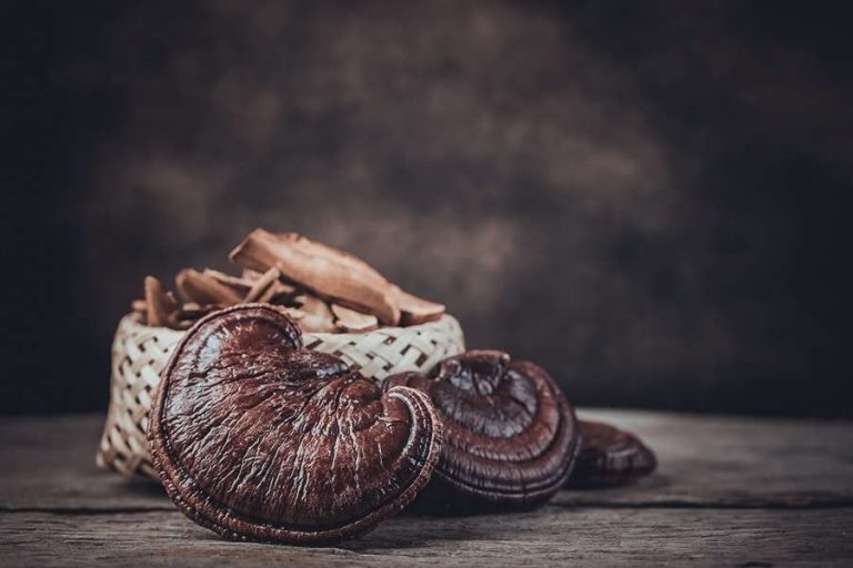 تحمي من الإصابة بالسرطان 