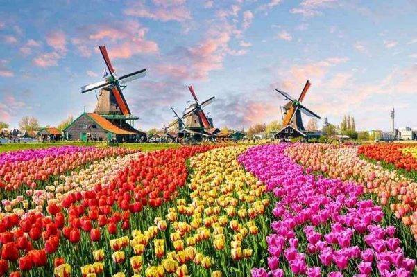 السياحه في هولندا شهر ابريل
