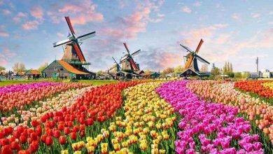 السياحة في هولندا في الصيف