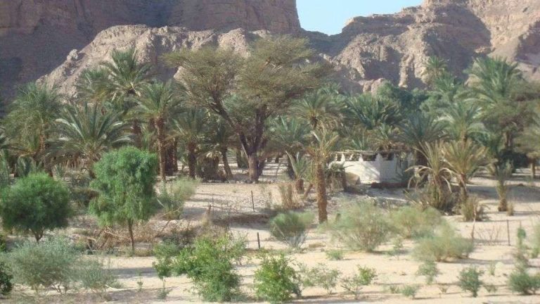 السياحة في شمال سيناء