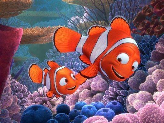 Finding Nemo ..