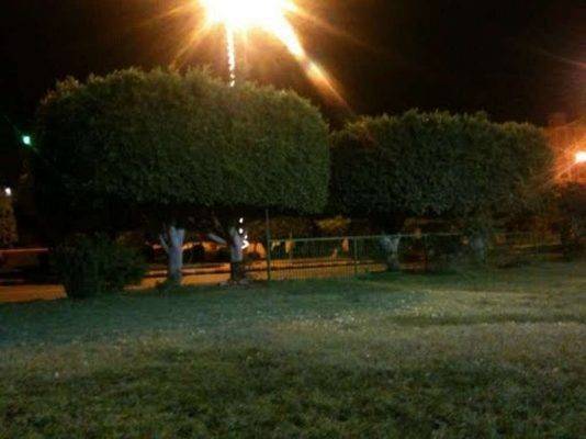 الحدائق - أماكن سياحية في أبها في الليل