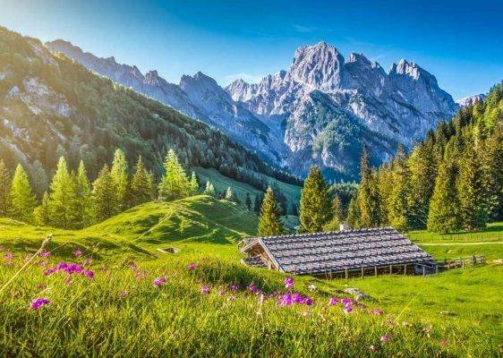 الحديقة الوطنية السويسرية - السياحة في سويسرا في شهر مارس