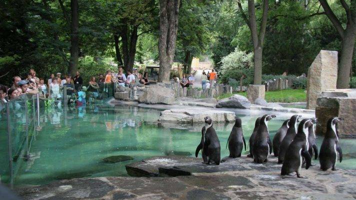 حديقة الحيوان في براغ