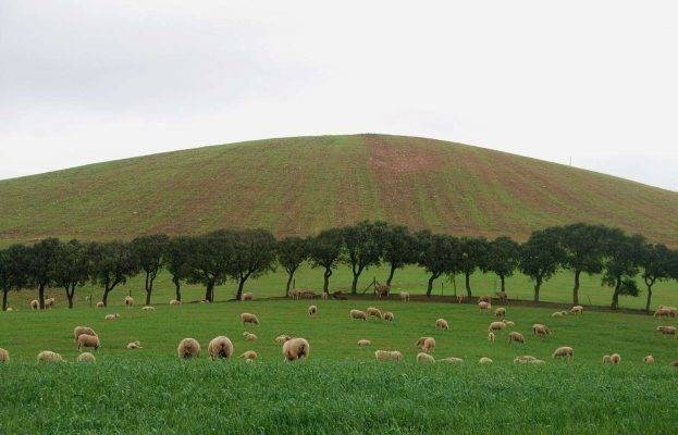 بماذا تشتهر البرتغال صناعيا وتجاريا