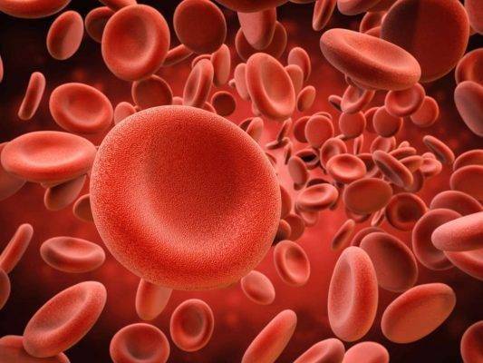 خلايا الدم ..