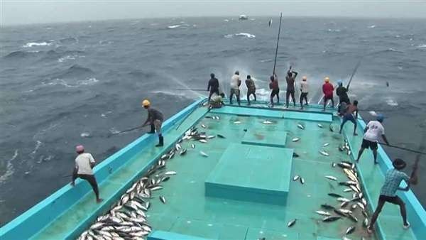  - صناعة صيد الأسماك في جزر المالديف
