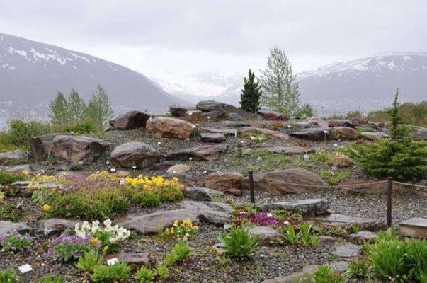 Botaniske Hage - السياحة في النرويج 2019