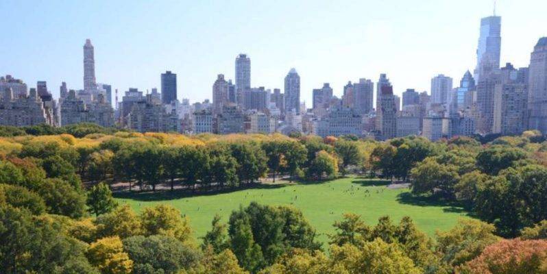 Central Park - السياحة في نيويورك 2019