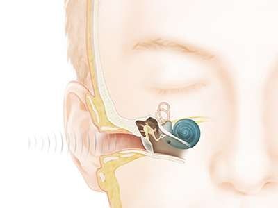 كيف تعمل الأذن .. شرح خطوات عملية السمع 